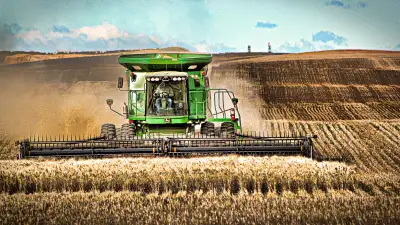 Full-time / Long-term position available on a family grain farm/cattle operation in Southern Alberta...