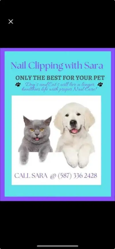 Pet - Dog & cat nail trims. Discounts for multipl, View more