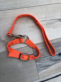 RedHead Dog Collar and Short Lead