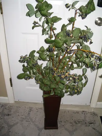 VERY UNIQUE indoor artificial blueberry plant, View more