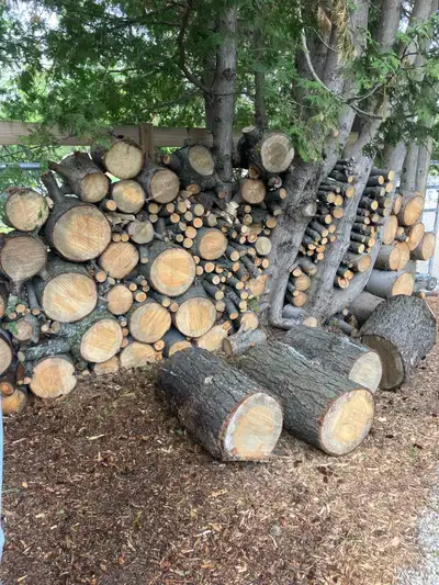 Free Camp/ Fire Wood, View more