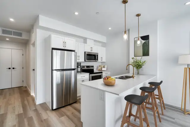 LUXURY 2 Bed 2 Bath Apartment! Move In Ready!