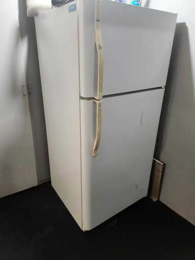 Working female only.  Large room in Basement for Rent in Room Rentals & Roommates in Ottawa - Image 11