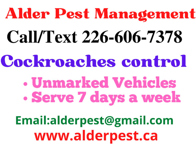 Pest control services Hamilton, Call 226-606-7378 in Other in Hamilton - Image 3