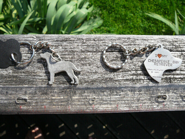 Chesapeake Bay Retriever gifts: Circle of Chessies, keychains dans Art et objets de collection  à Longueuil/Rive Sud - Image 2