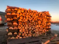 Bulk Birch/Poplar Firewood For Sale