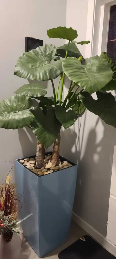 fake plant and pot, View more