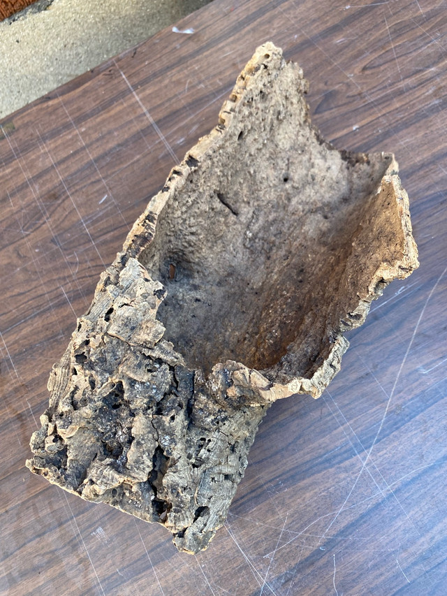 Cork bark in Other in Stratford - Image 2