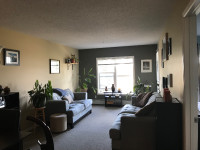 1 bedroom Apartment for rent SW Edmonton