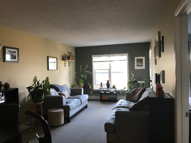 1 bedroom Apartment for rent SW Edmonton in Long Term Rentals in Edmonton
