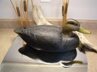 Hand Carved & Hand Painted "Black Duck" by John Hill. 17 inch