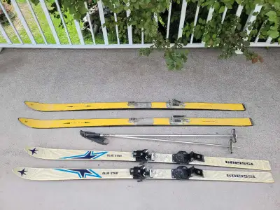 FREE OLD SKIS, View more