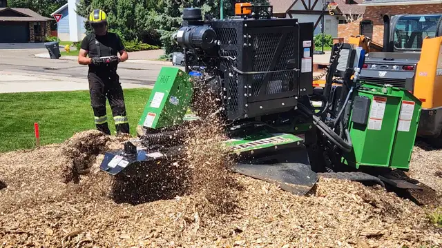 Quality Low Cost Stump Grinding in Lawn, Tree Maintenance & Eavestrough in Saskatoon - Image 9