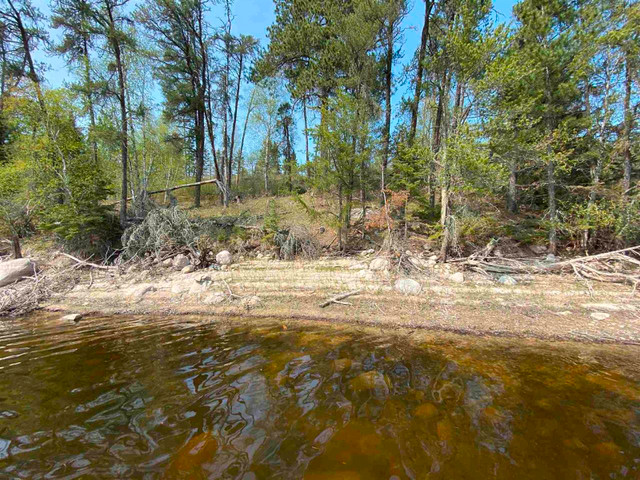 PCL 8452 Darlington Bay - Amazing property on the Winnipeg River in Land for Sale in Kenora - Image 3