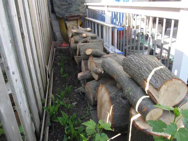 wood given for free in Free Stuff in London - Image 3