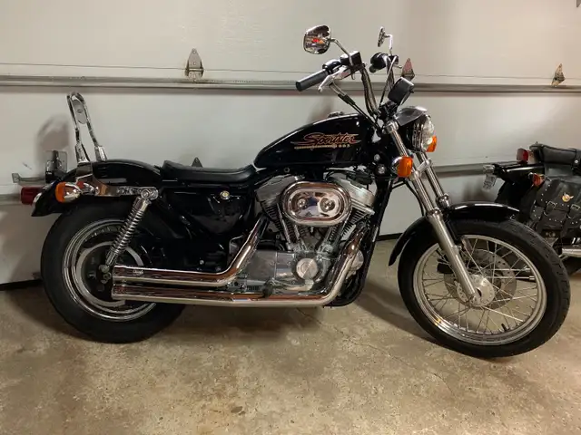 2001 Harley Davidson sportster 883 bobber in Street, Cruisers & Choppers in Mississauga / Peel Region - Image 5