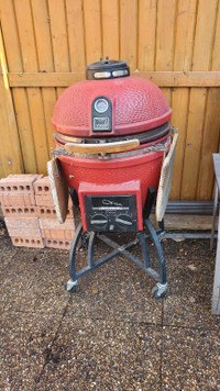 Vision Grill Kamado  Charcoal Grill Smoker for sale