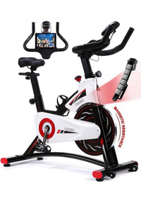 Chaoke Stationary Bike