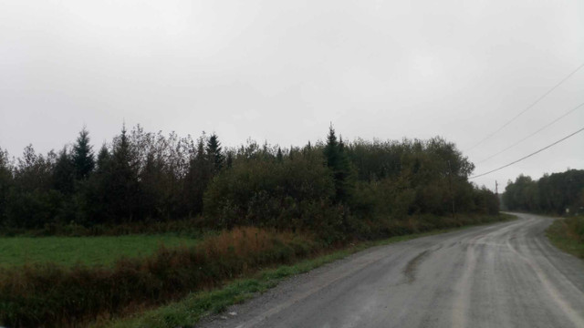 Terrain en campagne dans Terrains à vendre  à Rimouski / Bas-St-Laurent - Image 3