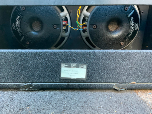 Two Peavy Black Widow 12” Speakers in Pro Audio & Recording Equipment in Bridgewater - Image 2