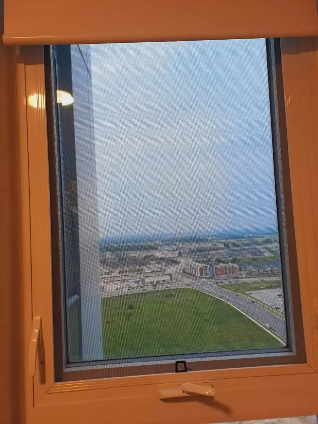 Privare Room for rent near Mount pleasant Go station, Brampton in Room Rentals & Roommates in Mississauga / Peel Region - Image 3