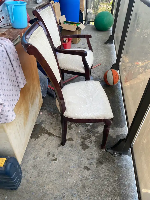 1 Elegant Dining Chairs63848995017603122