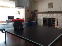 Table de ping pong pour petit espace