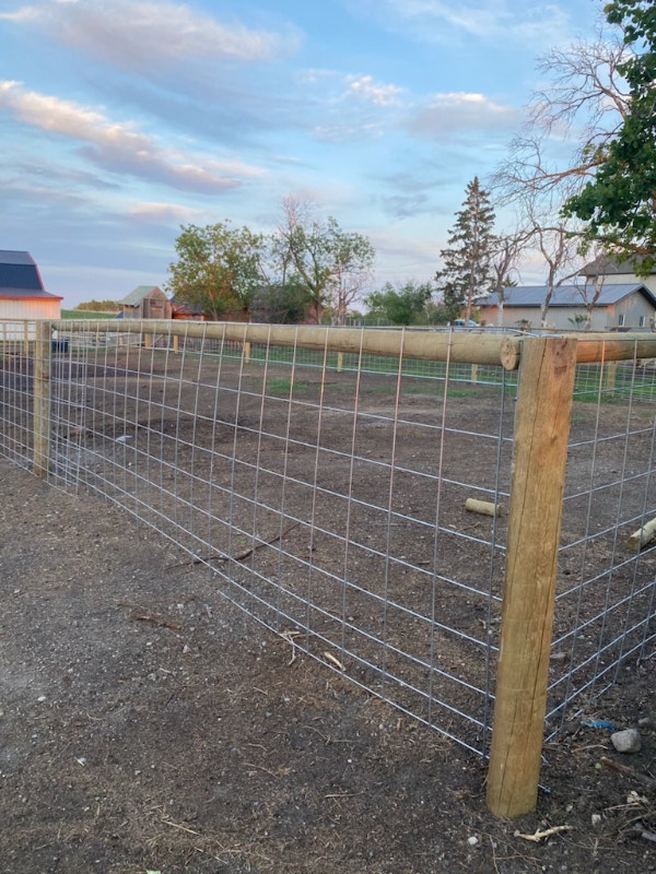 WELDED WIRE MESH PANELS for CATTLE/SHEEP/GOATS/HOGS/CHICKENS ETC Livestock St. Albert Kijiji