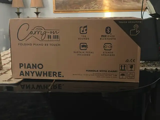 Blackstar Foldable Piano (88-key) in Pianos & Keyboards in City of Toronto - Image 3