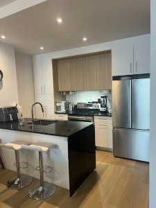 Situé dans le quartier Umano. Condo 3 1/2 situé au Joseph David sur boul. Étienne-Dallaire, Lévis, a...