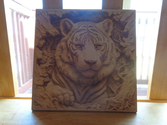 Lion - 3D Illusion Laser Engraved Wood Decor in Home Décor & Accents in City of Halifax