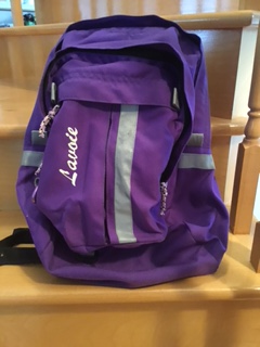 SACOCHE À VÉLO TRANSFORMABLE EN SAC À DOS DE MARQUE LAVOIE, View more