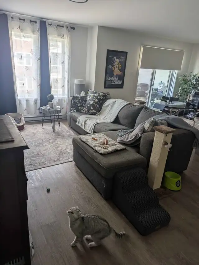 Spacious 4.5-style Condo, Available October 1st