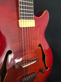 Guitare CAST Josino Saraiva …..Custom