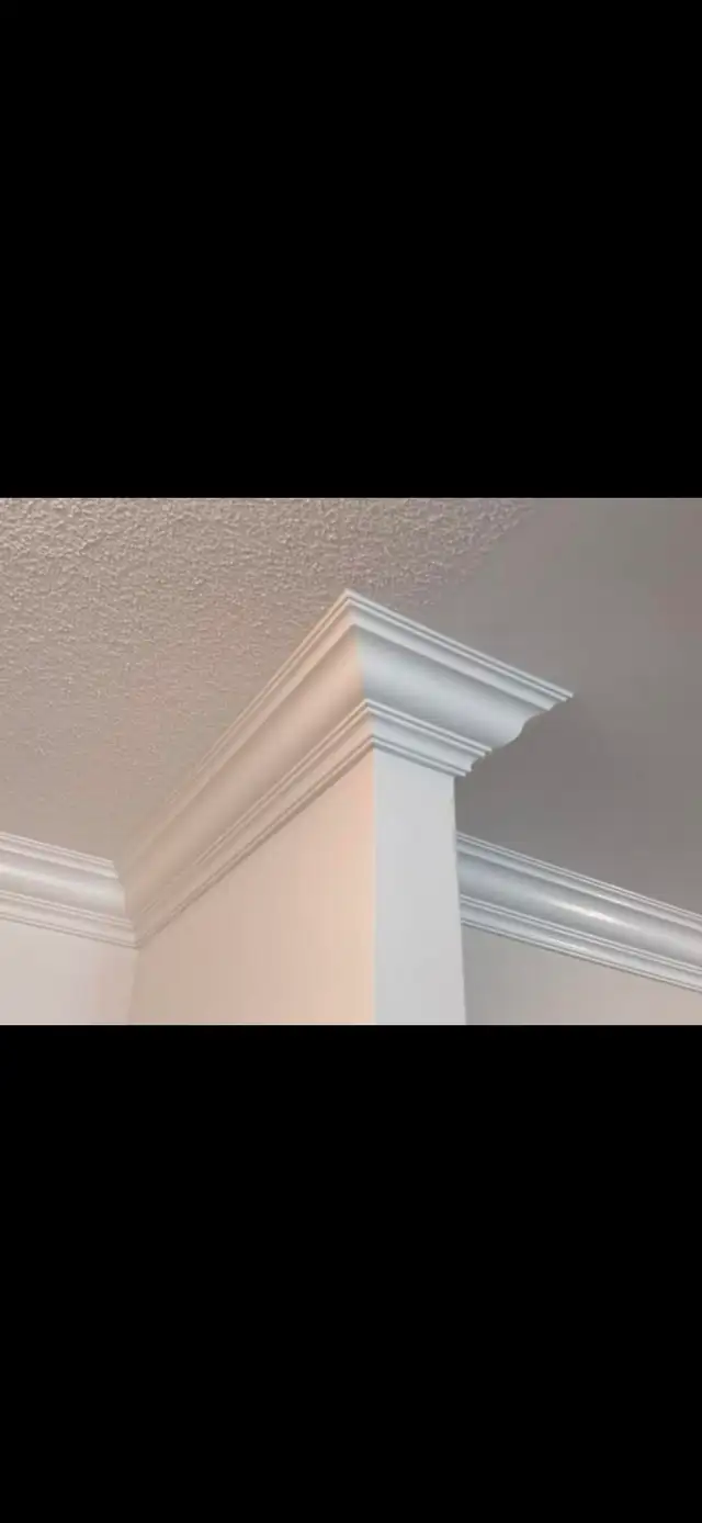 Contour Carpentry573330012745902088