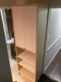 Ikea large book case with 2 doors