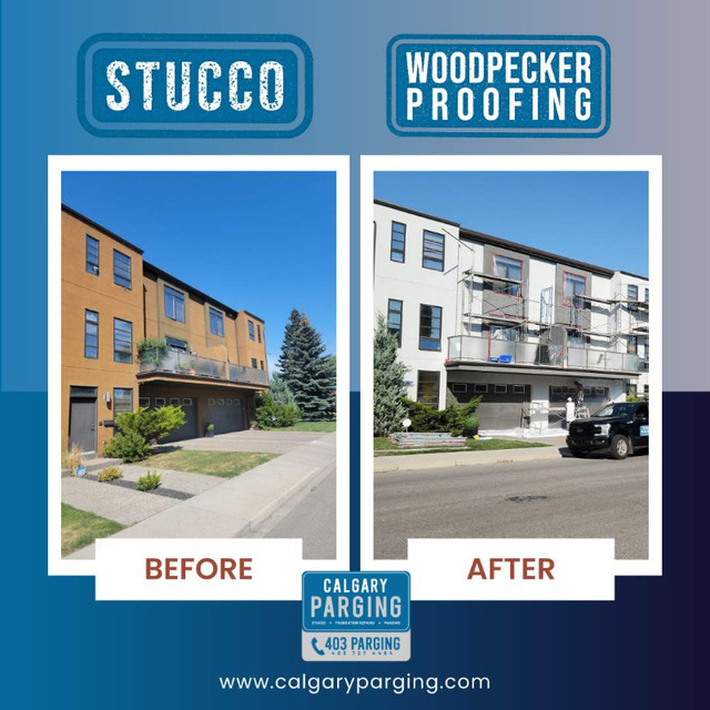 Woodpecker Stucco repairs & life time WOODPECKER PROOFING! BBB in Brick, Masonry & Concrete in Calgary - Image 3