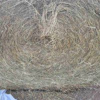 Haylage for sale