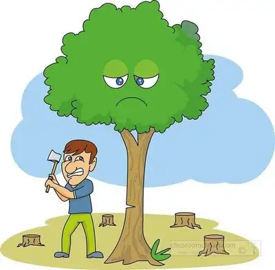 tree removal , View more