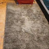 5 by 7 medium high pile rug