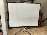 Da-Lite 70” x 70” projector screen