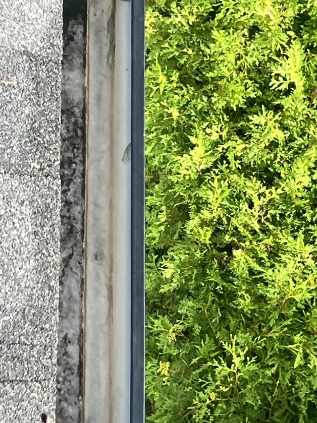 window and eavestrough cleaning and snow removal in Cleaners & Cleaning in City of Toronto - Image 8