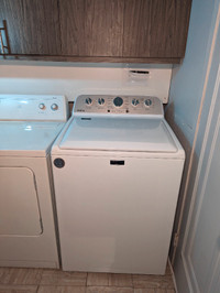 Maytag washer - still under warranty!! Free dryer.