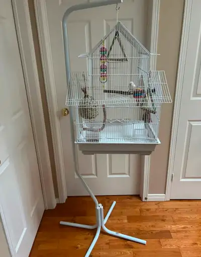 White bird cage with stand, View more