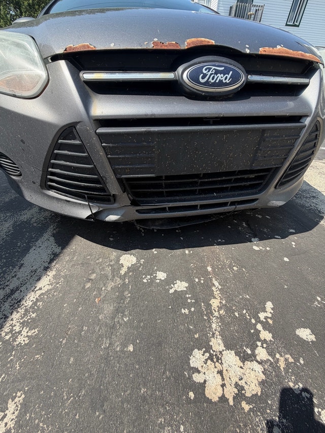 Ford Focus SE 2013 — photo 2