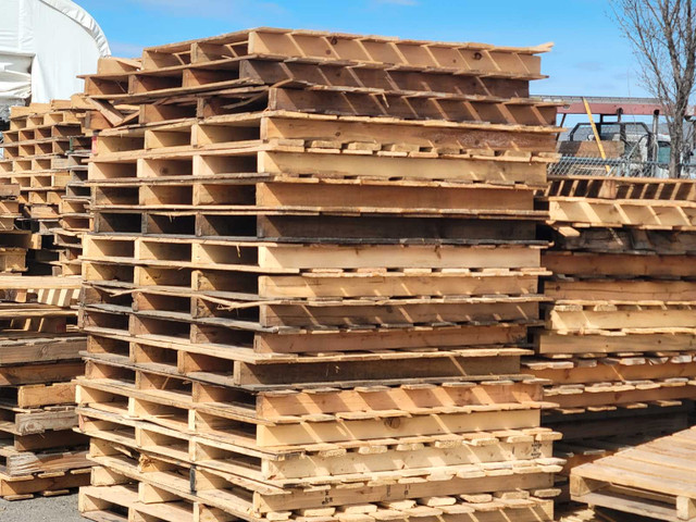 Industrial Wooden Pallets in Other Business & Industrial in St. Albert - Image 2