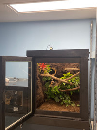 Custom Built Reptile Cage with Background