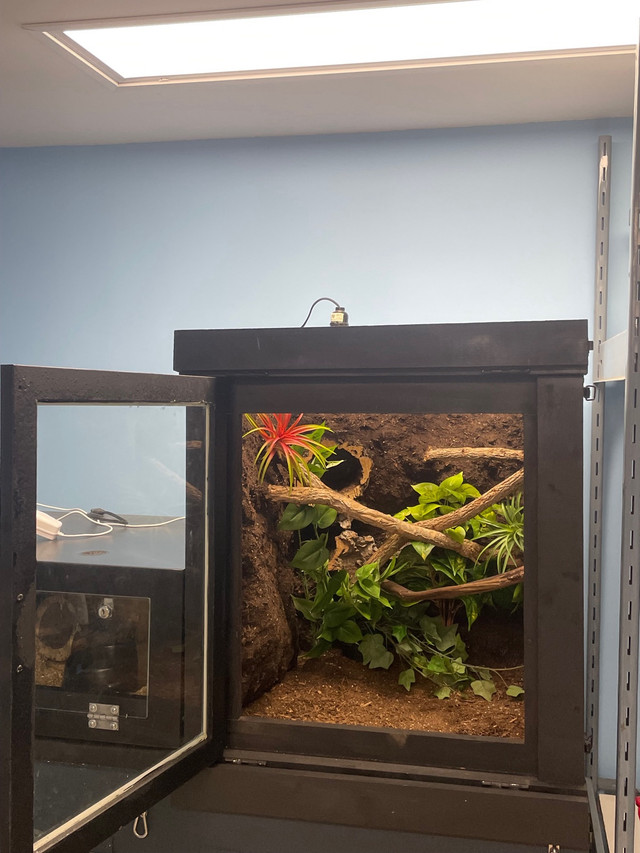 Custom Built Reptile Cage with Background in Other in Mississauga / Peel Region