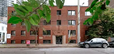 Downtown Newly Renovated Apartments