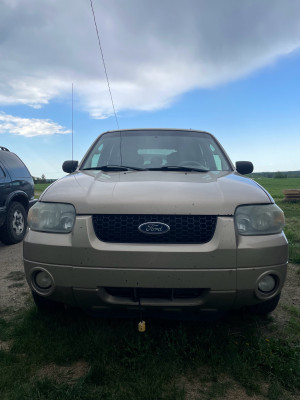 2007 Ford Escape